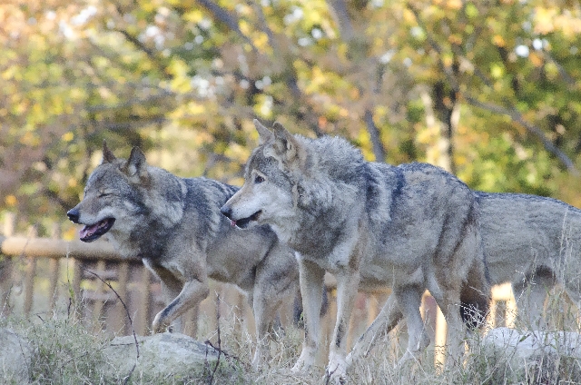 375e466e7391523fb725a2a00890bcdf_s